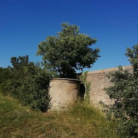 Le Soleil D Eugenie Dans Avec Piscine Commune Pres De Carcassonne Apartment
