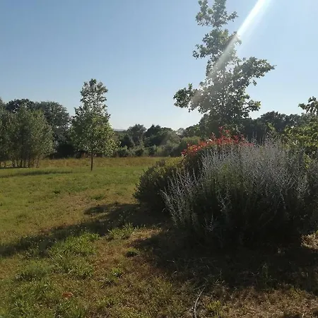 Le Soleil D Eugenie Dans Avec Piscine Commune Pres De Carcassonne