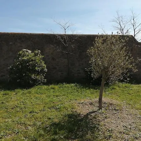 Apartment Le Soleil D Eugenie Dans Avec Piscine Commune Pres De Carcassonne *