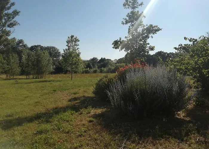 Le Soleil D Eugenie Dans Avec Piscine Commune Pres De Carcassonne